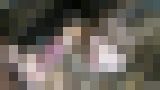 無修正個人撮影動画「学費のため… 顔、身体、おまんこ全てが上な明治大に通う高学歴のしほちゃんを低学歴前科持ちのチンポがイカセまくる」 サンプル画像10