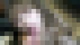 無修正個人撮影動画「学費のため… 顔、身体、おまんこ全てが上な明治大に通う高学歴のしほちゃんを低学歴前科持ちのチンポがイカセまくる」 サンプル画像11
