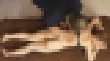 モザイクかけ忘れお宝動画「ヌルテカ巨乳ギャル大失禁!!媚●オイルマッサージ」前編 サンプル画像04