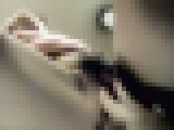 美人教師の誘惑 サンプル画像04