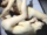 美人教師の誘惑 サンプル画像08