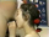 性愛診療室 サンプル画像12