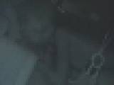 �[���ē���̐[��̉^���� Vol.46�@�T���v���摜01