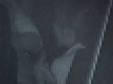 �[���ē���̐[��̉^���� Vol.198�@�T���v���摜02