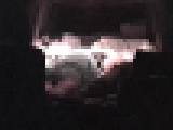 �[���ē���̐[��̉^���� Vol.220�@�T���v���摜01