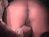 �[���ē���̐[��̉^���� Vol.220�@�T���v���摜04