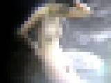 �I���[�u�p�Ս�i�I���B�I�V���C �������I�� Vol.2�@�T���v���摜14