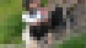 【お花見シリーズ003】　ああ青春の階段座り女子　サンプル画像01