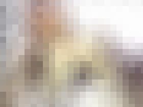 紺パン〇女　サンプル画像02