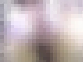 紺パン〇女　サンプル画像03