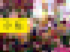 ×××マンコレクション Vol.25 小糸　サンプル画像02