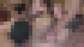 1521175 【個人撮影】秘密の乱交パーティーに潜入⑱参加者大興奮の超絶美女登場！こんな美女にオッサン達が寄ってたかって中出し・・・世も末です・・・(笑)　サンプル画像03