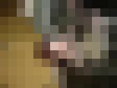 夫婦の秘密 その４　サンプル画像17