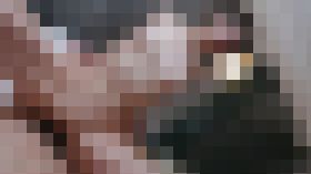 4311904 初撮影・顔出し！！透き通るような色白美肌のFcup美巨乳美大生がお行儀悪く腰を動かし幾度も絶頂！！品を忘れた美白で淫らな美体に2回連続生中出し！！　サンプル画像03