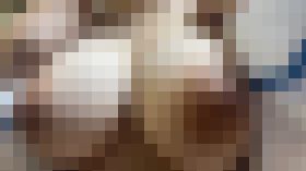 4317941 【初々しいHcup素人レイヤー】はじめての3P×2回戦！あ〇ぎり高〇大代〇白、白おぱんつ＆黒おぱんつでパイズリ中出し計4発射　サンプル画像01