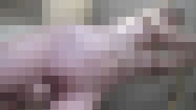 4331671 美巨乳なスレンダーOLが裏切りの絶頂再び。半径10ｍに漂うフェロモンにまたもやタジタジ。2連発中出し！　サンプル画像02