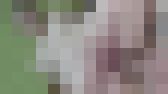 4331671 美巨乳なスレンダーOLが裏切りの絶頂再び。半径10ｍに漂うフェロモンにまたもやタジタジ。2連発中出し！　サンプル画像17
