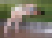 おばさま、主婦などの熟女さまのエッチシーンの特集  フェチマニア流出シリーズ　その１４１　サンプル画像19