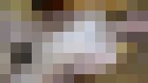4410761 【無】あの色白で黒髪美人で清楚な彼女と再会しプライベートSEXハメ撮り。ニーハイのミニスカートの奥は欲求不満で濡れ濡れのドスケベおまん〇こ。出会って即おしゃぶりからの中出し二連発　サンプル画像18