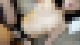 4473803 【無】ムッチムチのBODYに全身網タイツ、恥ずかしがるまるちゃんに着せて…極太ディルドでお尻ヒクヒク、スライムおっぱい弄び精魂尽きるまでハメ撮り中出し。　サンプル画像02