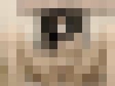癒し系OLの恥ずかしライブチャット　秘密のコレクションが流失！その９２　サンプル画像13
