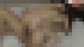 4753945 再び街●屋が連れて来た29歳の美脚の人妻 完全版　サンプル画像03