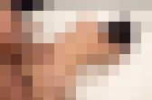 4760812 【無修正】【3P】ムス/コが通う幼稚園でお世話になっている保育士さんをホテルに連れ込んだら思い通りにできたので３Pハメ撮り　サンプル画像17
