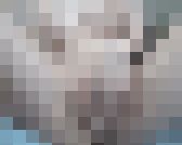 激烈！超美形妊婦のオナニー３編！　秘密のコレクションが流失！その１１６　サンプル画像12