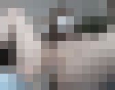 激烈！超美形妊婦のオナニー３編！　秘密のコレクションが流失！その１１６　サンプル画像13
