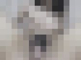 激烈！超美形JDのオナニー２編！　秘密のコレクションが流失！その１１７　サンプル画像17