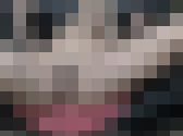 激烈！ヤンキー姐さんの爆裂オナニー４編！　秘密のコレクションが流失！その１２０　サンプル画像17