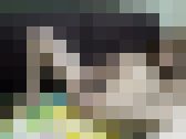 超美形剛毛未処理JDのオナニー2編! 秘密のコレクションが流失!その121 サンプル画像14