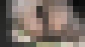 グリーンパークへようこそ163　2023春の詰め合わせ　サンプル画像13