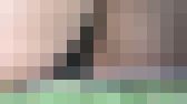 グリーンパークへようこそ163　2023春の詰め合わせ　サンプル画像14