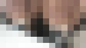 グリーンパークへようこそ163　2023春の詰め合わせ　サンプル画像16