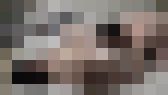 不倫!愛し合う中高年男女が求め合う狂おしくスケベなSEX動画！　サンプル画像13