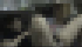 H大好き夫婦のセックス日記　秘密のコレクション！　サンプル画像03