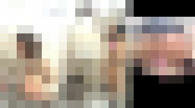 【高画質】2カメ和式　５名　下着姿でするＯＬさん等　サンプル画像02
