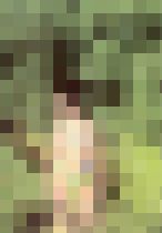 【写真集】一条院リナ　リナ◯6歳　サンプル画像03