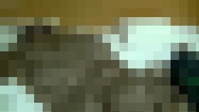 【復刻】眠り姫~忍対羽根つきOLと剛毛OL~　サンプル画像01