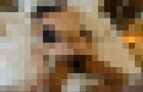 4793855 可愛いMな22歳のOLが黒人の同僚と浮気。　サンプル画像02