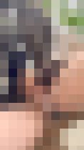 スクバにスカート引っかかってパンチラしちゃったお散歩動画です?　サンプル画像02