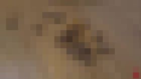 従うしかなかったその理由〜最初は拒んでいたはずなのに…〜 ③　サンプル画像03