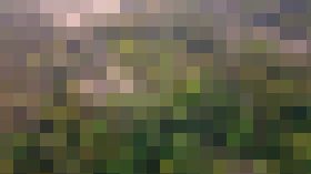 世界の暮らしを知る　サンプル画像02