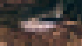世界の暮らしを知る　サンプル画像03