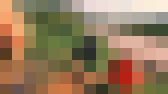 世界の暮らしを知る　サンプル画像13
