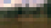 世界の暮らしを知る　サンプル画像15