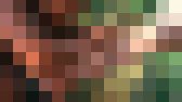 世界の暮らしを知る　サンプル画像20