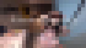 見てもいいけど見るだけだからね。。何も聞かないで。。。 サンプル画像01