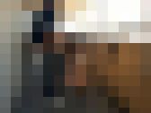 プチ裸出 VOL.9　サンプル画像12